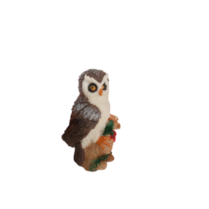 Coruja Com Fruta Decorativa