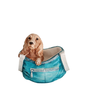 Cachorro Com Bolsinha