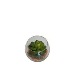 Enfeite De Vidro Com Suculenta