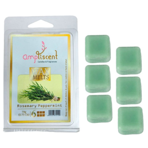 PASTILHA WAX MELT AMPLISCENT - ROSEMARY PEPPERMINT