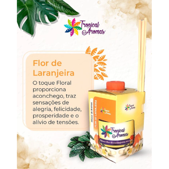 https://www.belezativapresentes.adrianacristinamigliati.futurasistemas.com.br/image/cache/data/eftr/Img_ftr_rp_361401-580x580.PNG