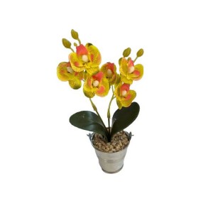 Mini Arranjo De Orquídea No Vasinho